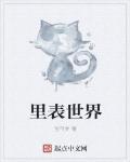 裡表世界