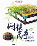 網棋高手