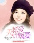 獨愛天價暖妻
