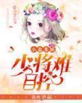 盛世婚寵：帝少難自控